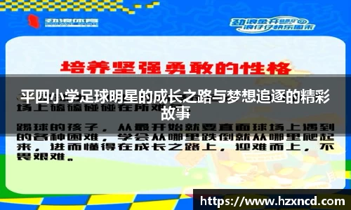 zoty中欧