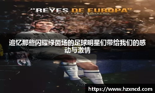 zoty中欧