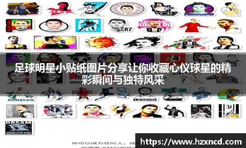 zoty中欧官网