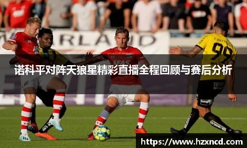 zoty中欧
