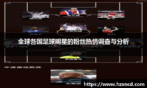 全球各国足球明星的粉丝热情调查与分析
