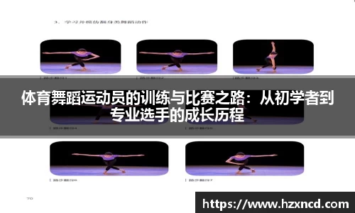 zoty中欧